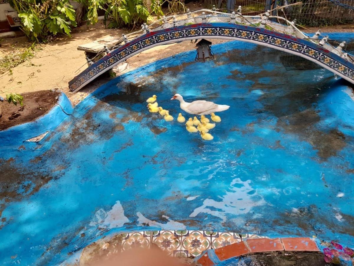 La Posada Del Sol Villa Gesell Eksteriør bilde