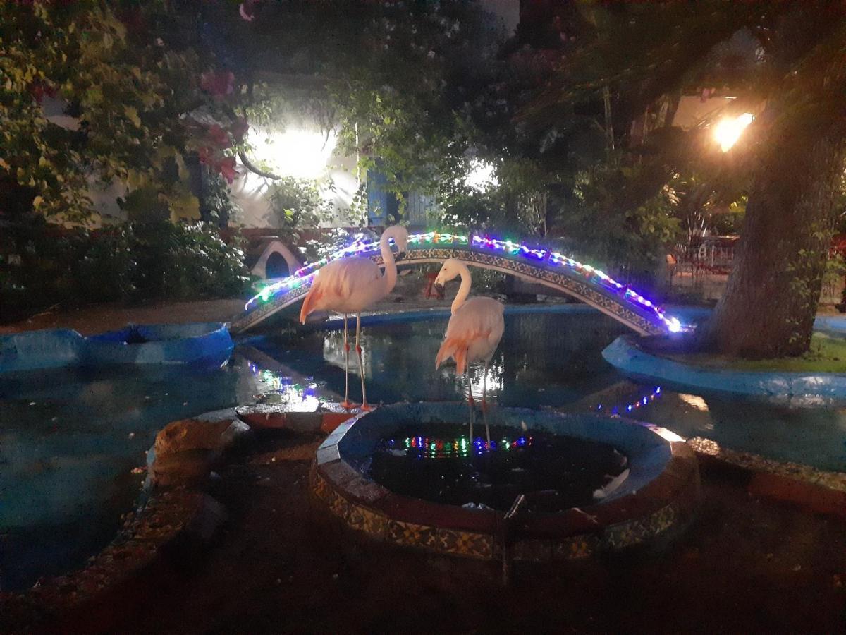 La Posada Del Sol Villa Gesell Eksteriør bilde