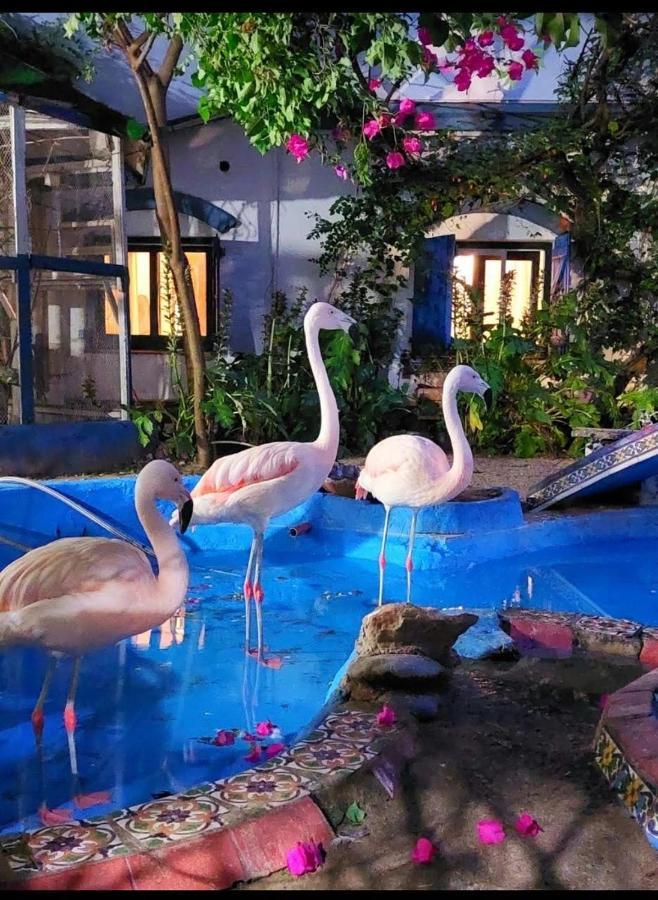 La Posada Del Sol Villa Gesell Eksteriør bilde